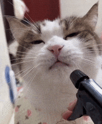 Relax Agua GIF