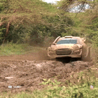 Getting Dirty On My Way GIF by FIA World Rally Championship