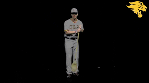 D3B GIF by CUCougars