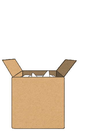 Box Unpacking Sticker by tonies®