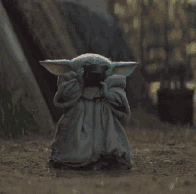 spiderdawg giphyupload GIF