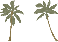 Palm Tree Vacation Sticker by Sugar Beach, A Viceroy Resort