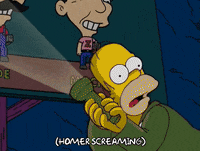 homer simpson GIF