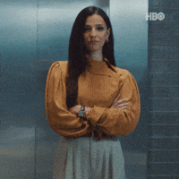Smirk Arms Crossed GIF by HBO Max
