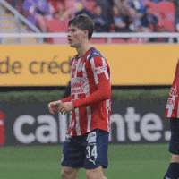 Guadalajara Hormiga GIF by Chivas Oficial