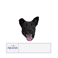 Hee Sticker by AptaclubKR
