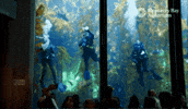 Cleaning Diving GIF by Monterey Bay Aquarium