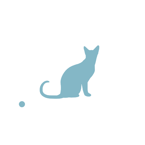 alibasdaysar cat logo design moon Sticker