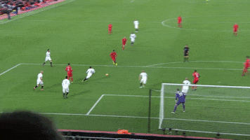 lfc watford GIF by Liverpool FC