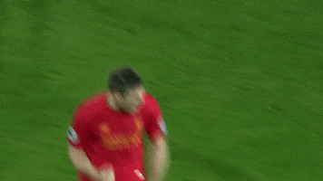 lfc GIF by Liverpool FC