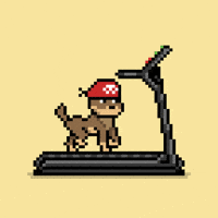 Do It Running GIF by Doginal Dogs