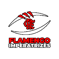 Football Futebol Americano Sticker by Flamengo Imperadores