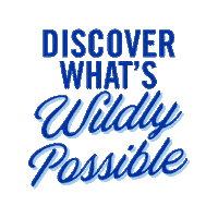 Fall Uky Sticker by University of Kentucky