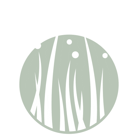 allergiecheck giphyupload pollen allergy allergie Sticker