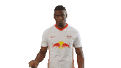 Not In My House No Sticker by RB Leipzig