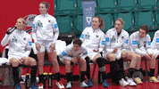 Happy Celebration GIF by EHF
