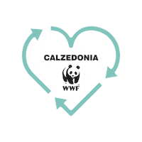 Sticker by Calzedonia
