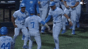 University Of North Carolina Baseball GIF by UNC Tar Heels