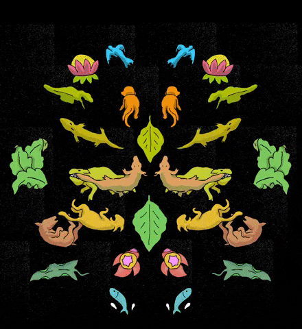 harisabadi giphyupload GIF