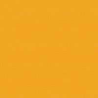 Wisdom GIF by BDHCollective