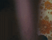 Designer Boi GIF by A$AP NAST