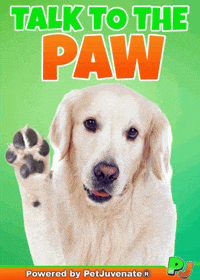 PetJuvenate  GIF