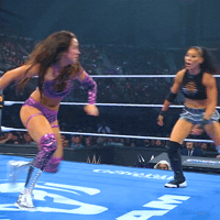 Women Wrestling Fighting GIF by WWE