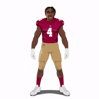 Nfl Draft Football GIF by Panini America