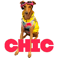 Fashion Week Sticker