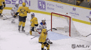 Celebrate Ice Hockey GIF by NHL