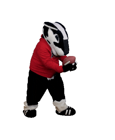 Football Touchdown Sticker by Brock University