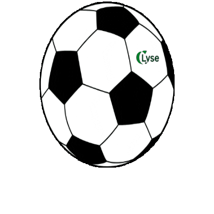 Viking Sticker by Lyse