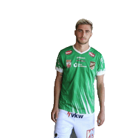 Grün Weiß Bundesliga Sticker by SC Austria Lustenau