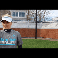vwu_marlins marlins vwu wethebeach virginiawesleyan GIF