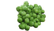 Peas Sticker by Toby Carvery