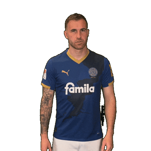 2 Bundesliga Football Sticker by Holstein Kiel