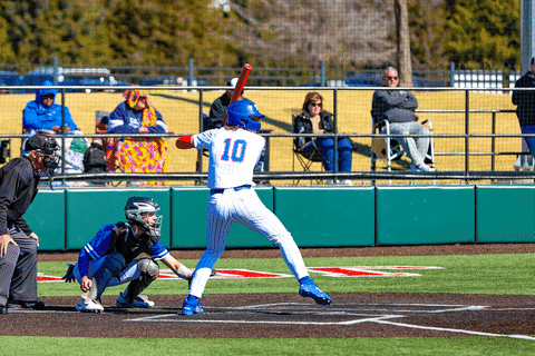 Baseball GIF by TCABB