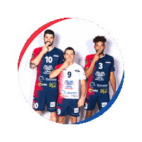 Volleyball Sticker by Vero Volley Monza