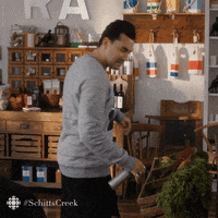 Schitts Creek Reaction GIF by CBC