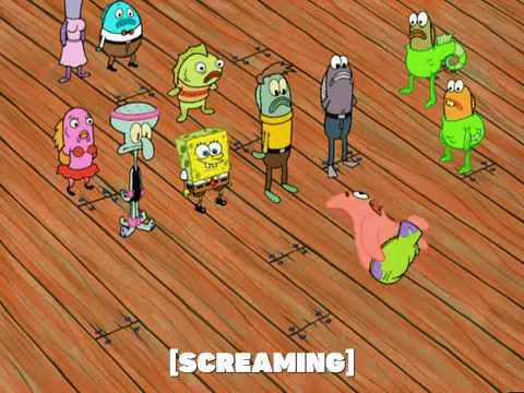 season 5 GIF by SpongeBob SquarePants