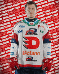 Lukas Radil Hockey GIF by HC Dynamo Pardubice