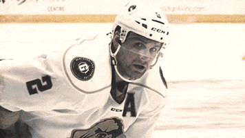 NLGrowlers giphyupload echl stand proud growlers GIF