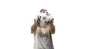 Cnws Sticker by Carson-Newman Athletics