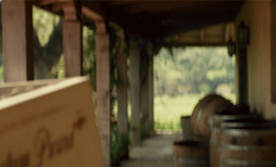 Star Trek Vintage GIF by Paramount+