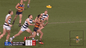 round 17 afl GIF by Adelaide Crows