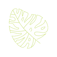 Plant Based Plants Sticker by vitaveg eco packaging