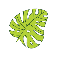 Plant Based Plants Sticker by vitaveg eco packaging