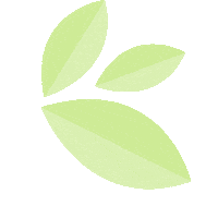 plant leaves Sticker