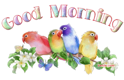 good morning STICKER
