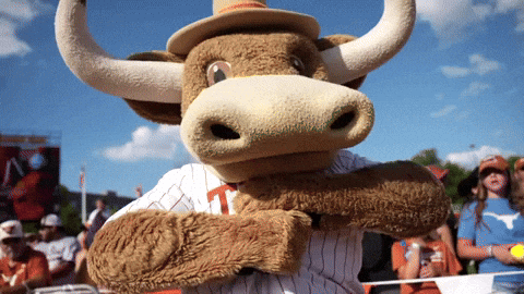 Ncaasoftball GIF by Texas Longhorns
